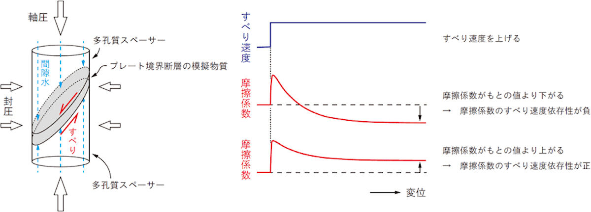 実験の概要。(左)実験試料の模式図。(右)斜めにカットした円柱状多孔質スペーサーにプレート境界断層の模擬物質を挟み、上下から力を加えることで試料に滑りが加えられた。