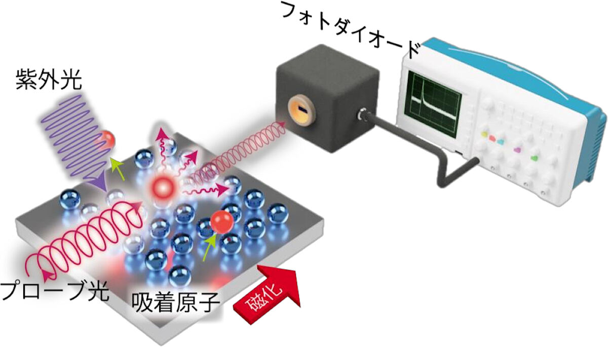 今回の研究で用いられた装置の概略図