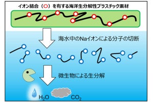 日清紡、イオン結合部分で分解する海洋生分解性プラスチックの開発に成功