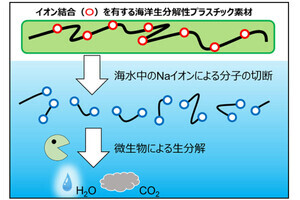 日清紡、イオン結合部分で分解する海洋生分解性プラスチックの開発に成功