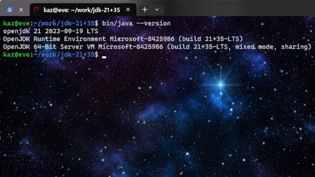 Linux版Microsoft Build of OpenJDK 21