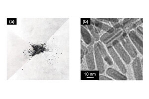 阪大が鉄から高活性・高耐久性触媒の開発に成功 - 持続可能な触媒の実現へ