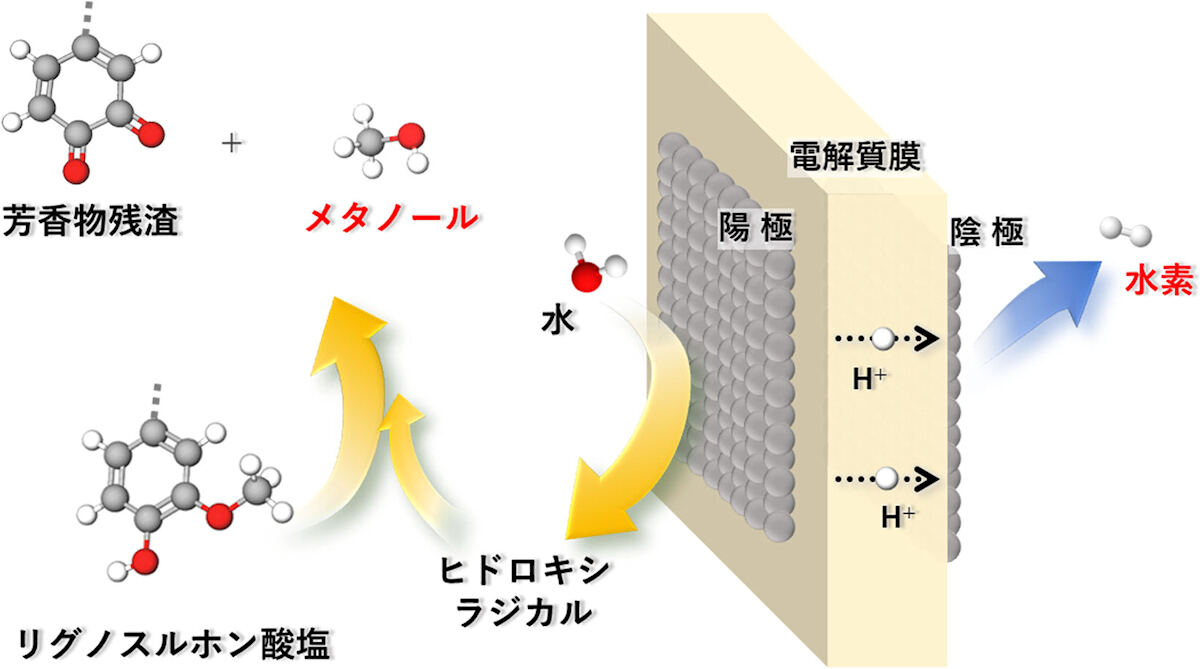 リグノスルホン酸塩からのメタノールと水素の電気化学的抽出のイメージ。
