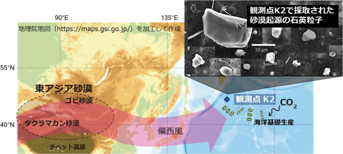 今回の研究の概要。