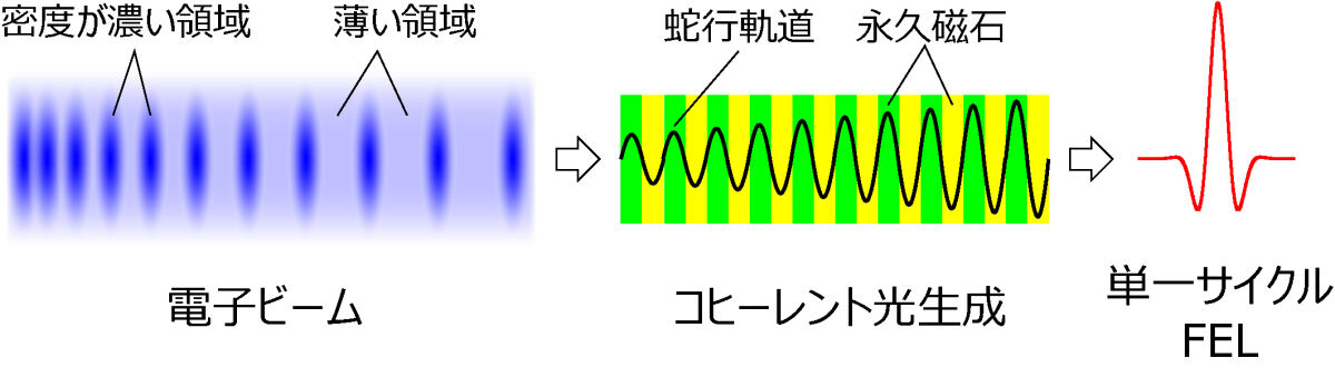 光スリッページの制御と単一サイクルFELを可能とする基本原理