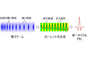 理研など、自由電子レーザーの「光スリッページ現象」の観測と制御に成功