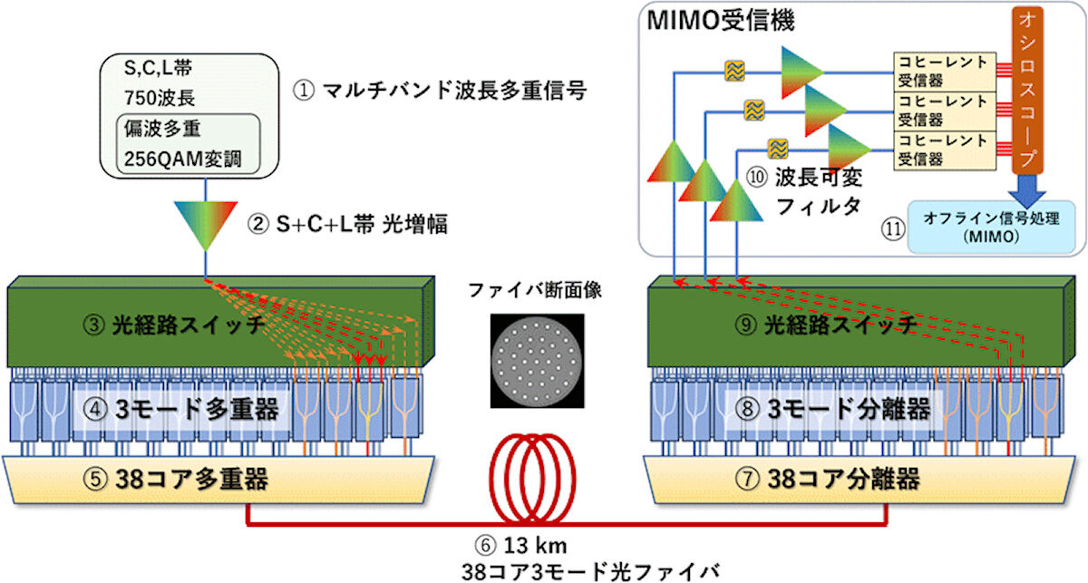 今回の伝送システムの概略図