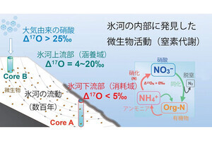 千葉大、氷河内深部の氷の内部において微生物の代謝活動を確認