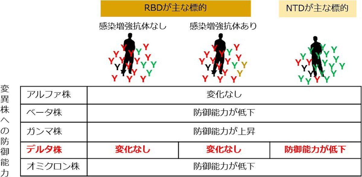 3つの抗体レパートリーと従来株と比較した際の変異株への防御能力の相関。