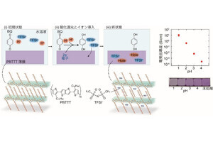 NIMSなど、有機半導体を水溶液中で精密にドーピングする革新的な技術を開発