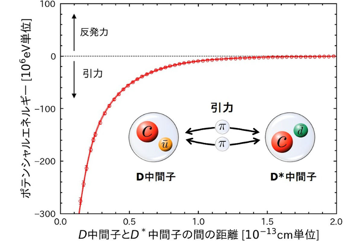 富岳で計算されたDとD*の両中間子間に働く引力