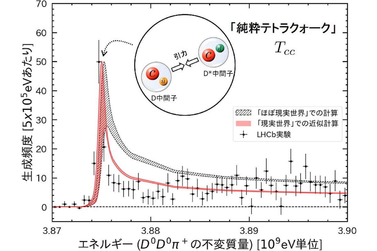 加速器実験においてTcc状態が生成される頻度