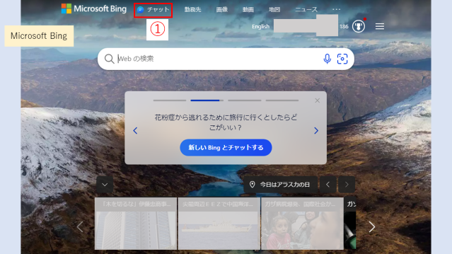 img_bingaiusage_03