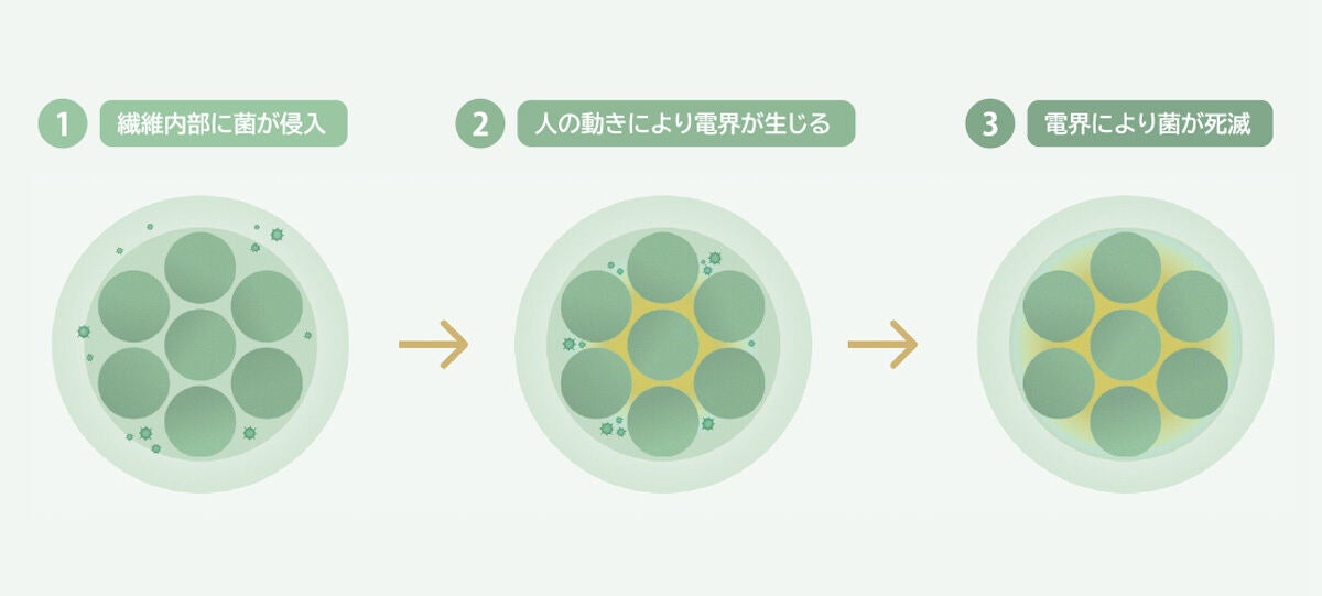 電気的特性による抗菌作用