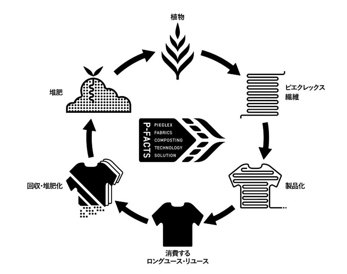 「P-FACTS」の流れのイメージ図