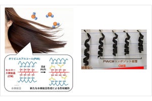 湿気を利用して髪型をキープ！ - NIMSと日本ロレアルが新ポリマー材料を開発