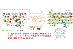 産総研、グラフェンと炭素量子ドットを組み合わせた汚染物質除去膜を開発