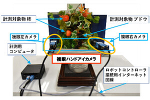 屋外で使える農作物収穫用空間センサを開発 - 実現の鍵は複眼カメラとAI