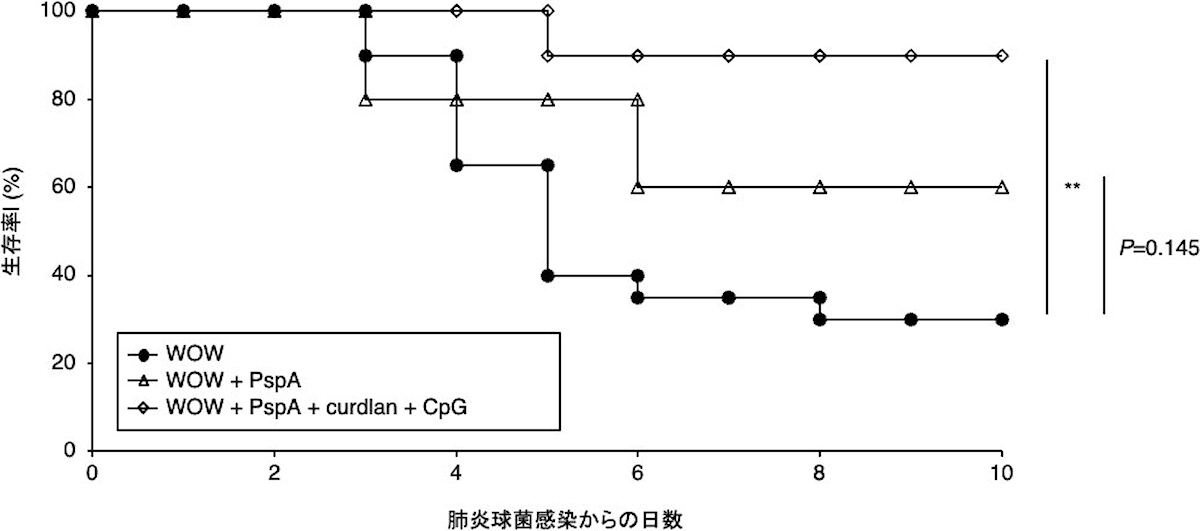 肺炎球菌感染による死亡率が著明に改善された(マウス)