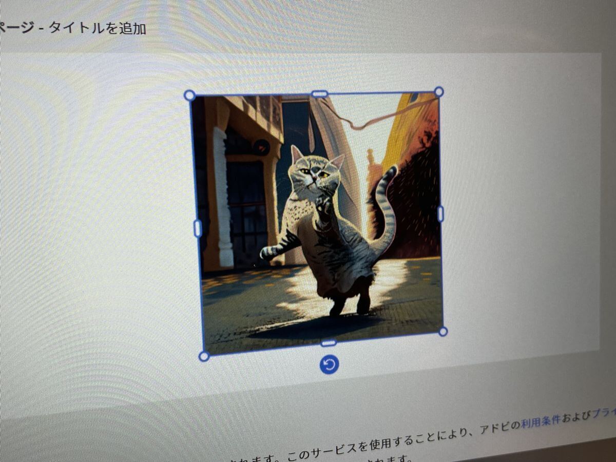 ,筆者が作成した「ダンスする猫」