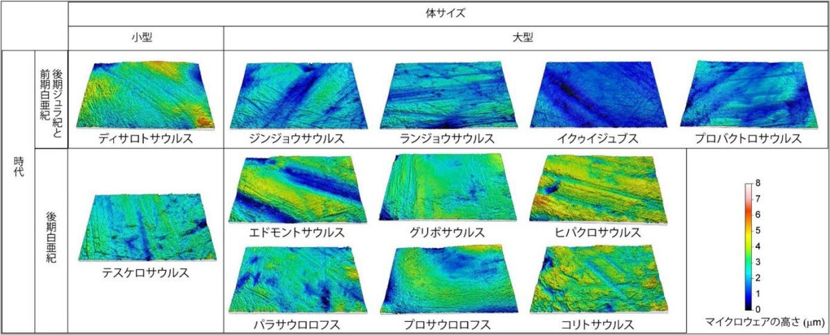 線状のマイクロウェアが見られる鳥脚類恐竜の歯の微小領域(100μm×140μm)の三次元形状