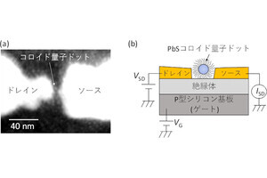 半導体コロイド量子ドット1個を用いた単一電子トランジスタの室温動作に成功