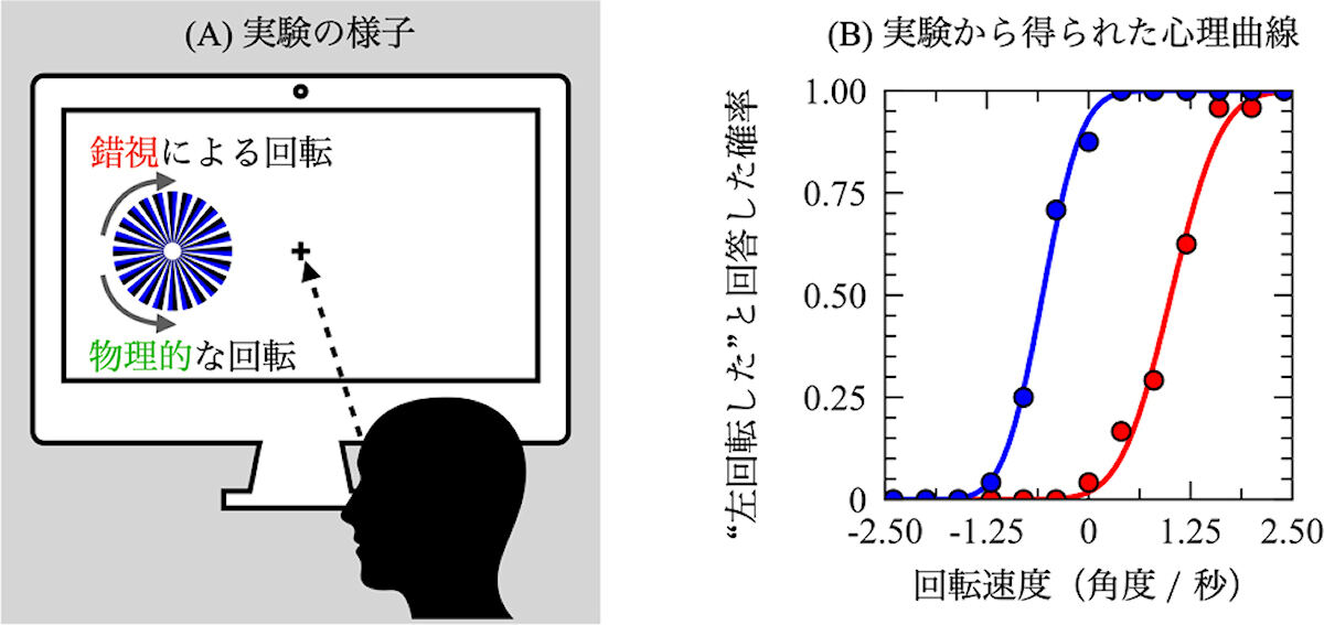 (A)心理実験のイメージ。(B)実験結果である心理曲線のグラフ