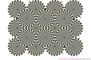 “動いて見える静止画”の錯覚から解き明かされた知覚の「足し算則」とは？