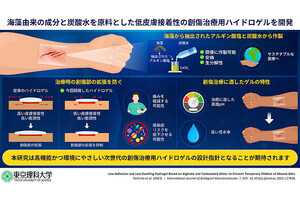 理科大、海藻成分と炭酸水から低接着性・低膨潤性の創傷治療用ゲルを開発