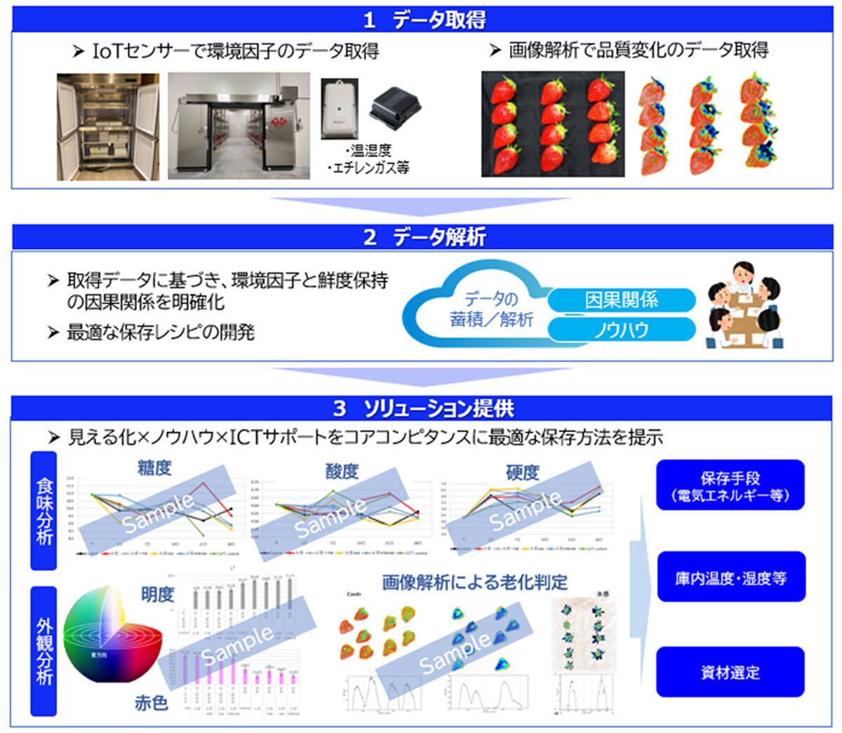 コンサルティングサービスの概要