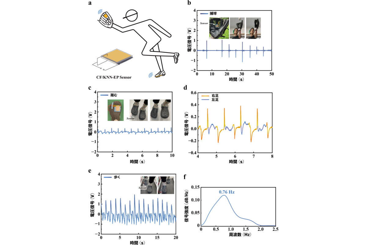 (a)今回の材料の応用。(b)ボールのキャッチで出力される電圧。(c)ステップで出力される電圧。(d)左足と右足の電圧変化。(e)歩行モニタリング中に出力される電圧。(f)FFTスペクトル解析結果