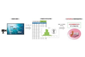 CAC、画像認識AIで養殖魚の体重をデータ化し資産価値を算定するシステム
