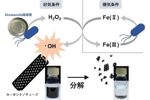 日本ゼオンなど、微生物の力でカーボンナノチューブを分解する手法を開発