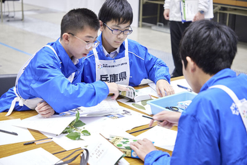 植物図鑑を手に仲間と相談