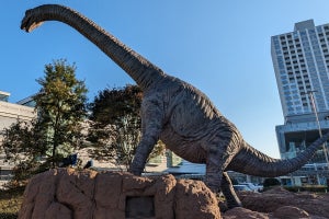 大人でも楽しめる福井県立恐竜博物館の「恐竜研究体験」の化石発掘体験！