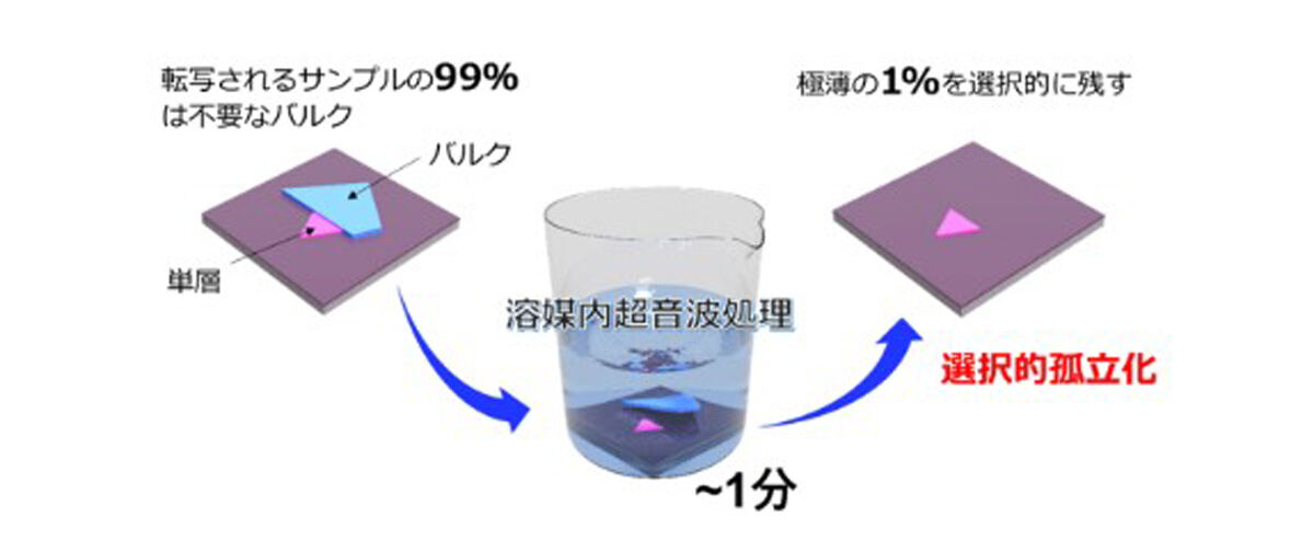 今回の研究で提案した超音波手法のイメージ