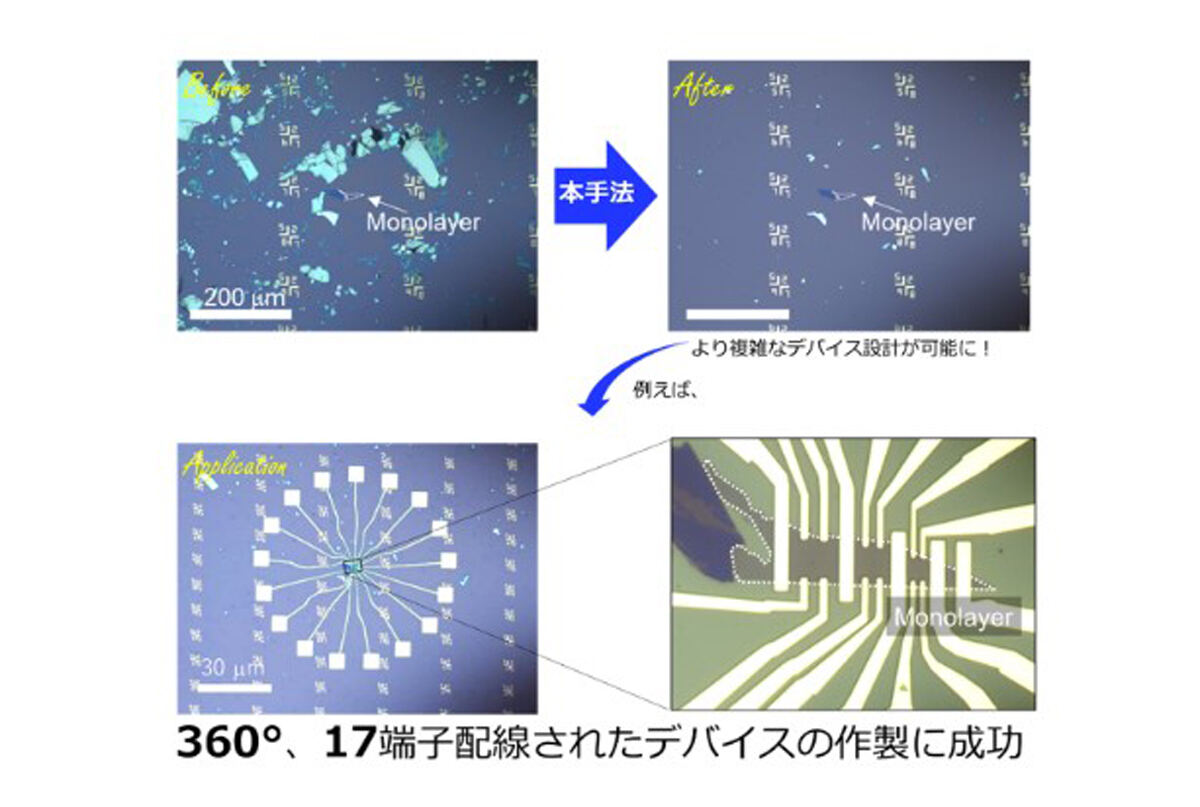 孤立化させた単層を用いた多数電極を有するデバイス