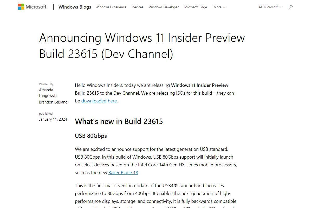 Announcing Windows 11 Insider Preview Build 23615 (Dev Channel)｜Windows Insider Blog