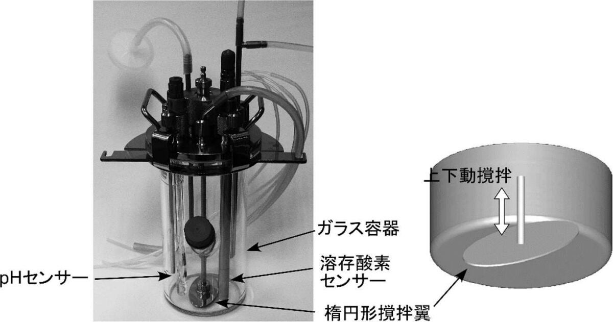 上下動撹拌培養装置(200mL)の概要