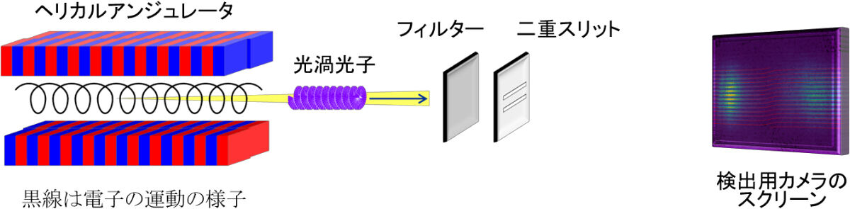 実験の概略図