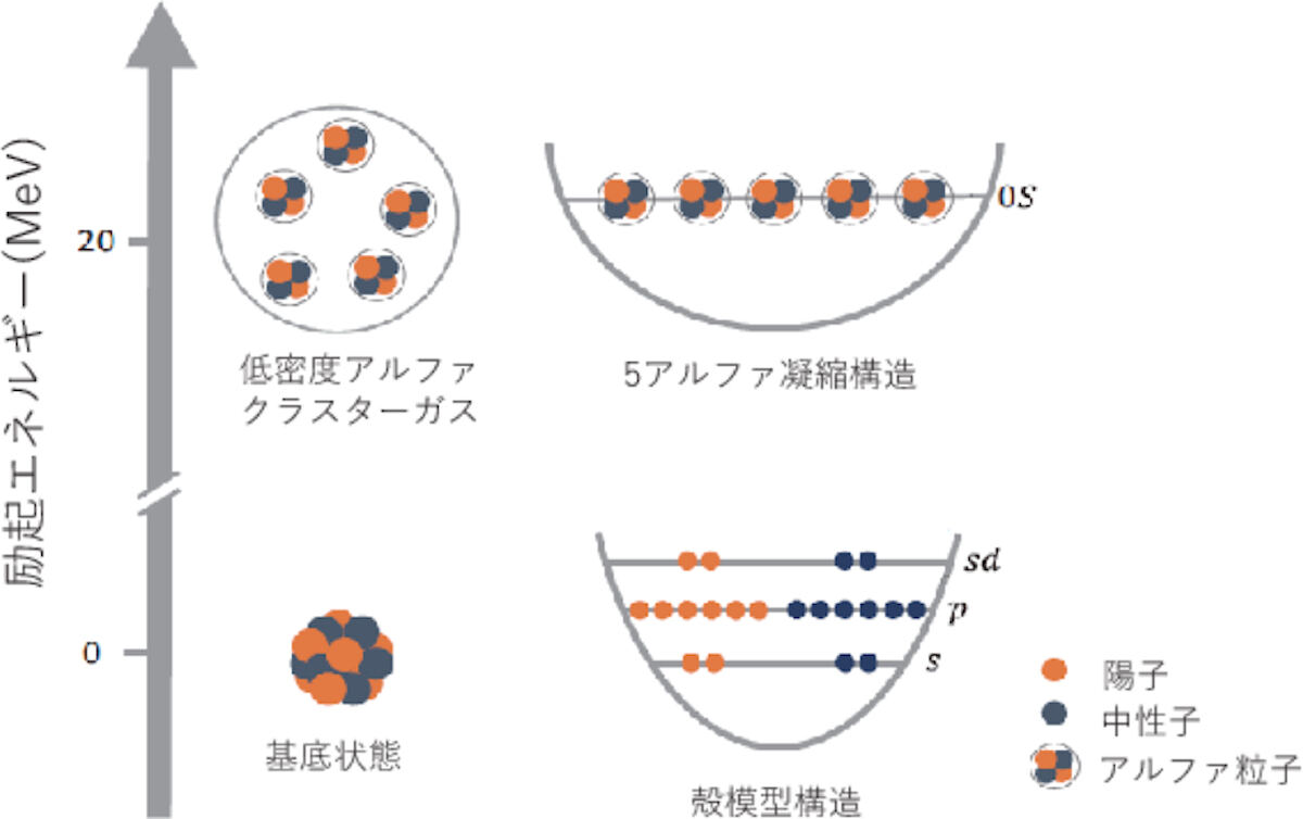 ネオン原子核において、5α凝縮状態が励起状態に現れる様子のイメージ