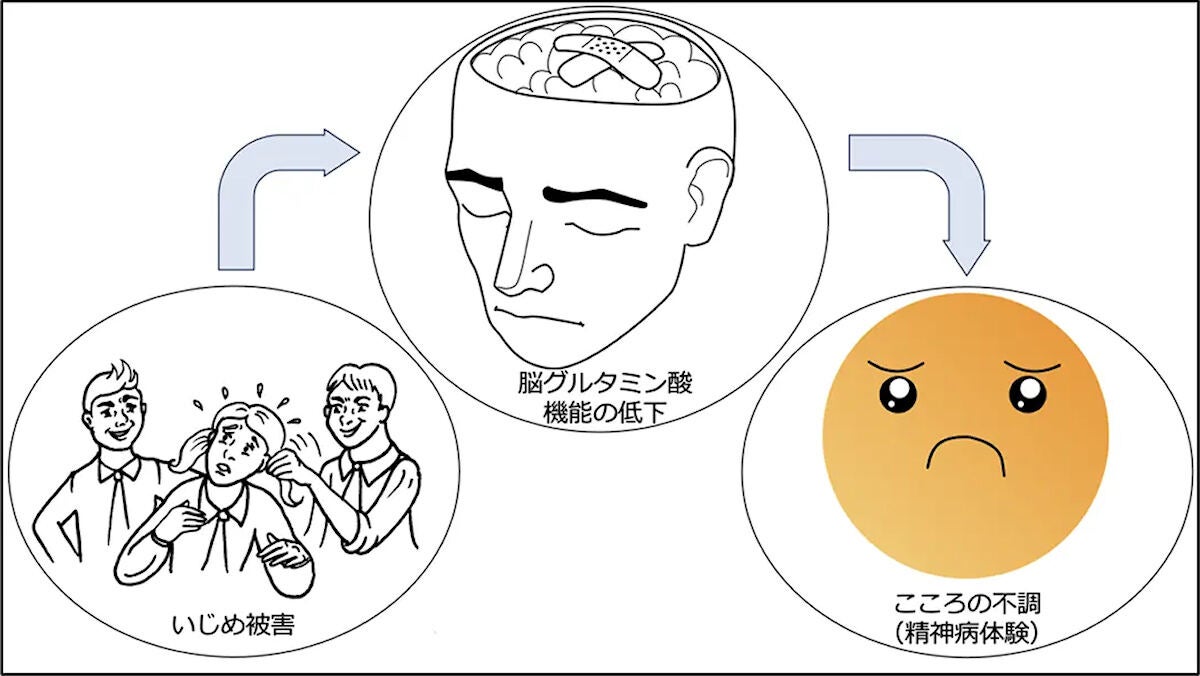 今回の研究のイメージ