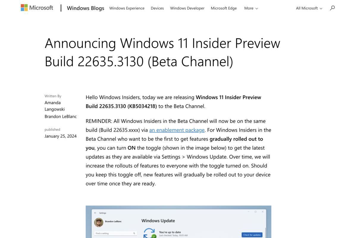 Announcing Windows 11 Insider Preview Build 22635.3130 (Beta Channel)｜Windows Insider Blog