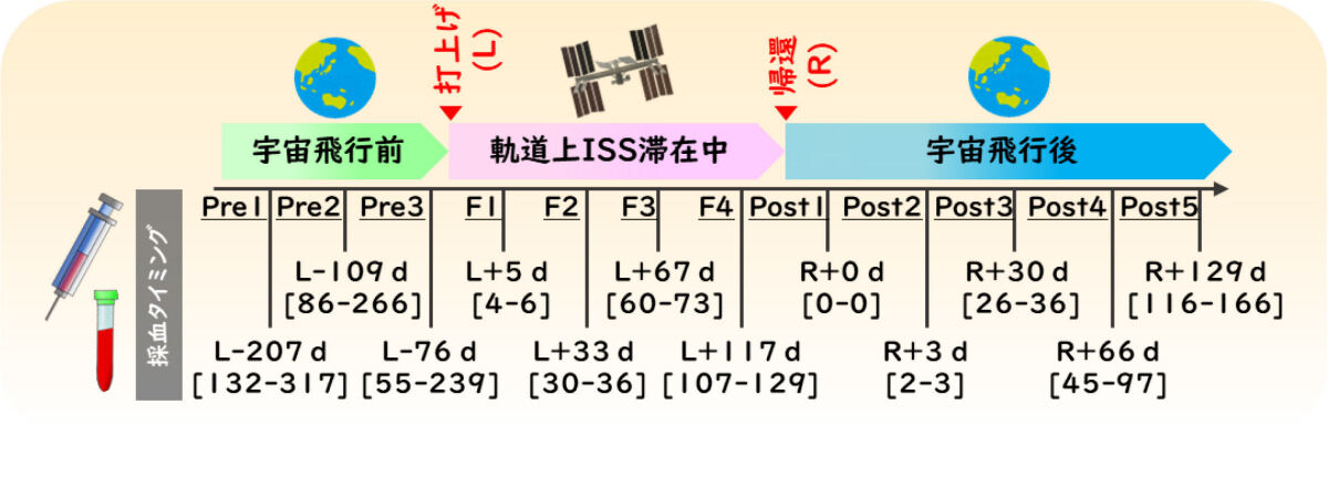 6人の宇宙飛行士血清試料採取スケジュール