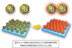 京大、半導体量子ドットを集めて結合させ新たな協同効果の発現を確認