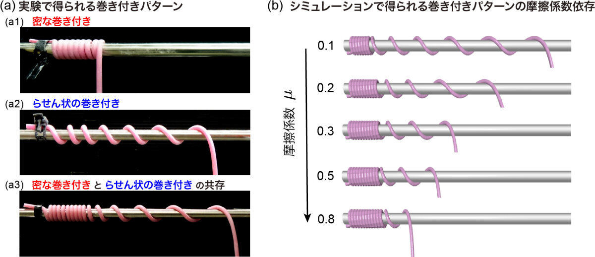 実験とシミュレーションそれぞれで得られる巻き付きパターンの摩擦係数依存性