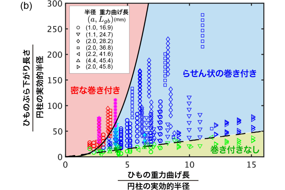 実験で得られた巻き付きパターンの状態図