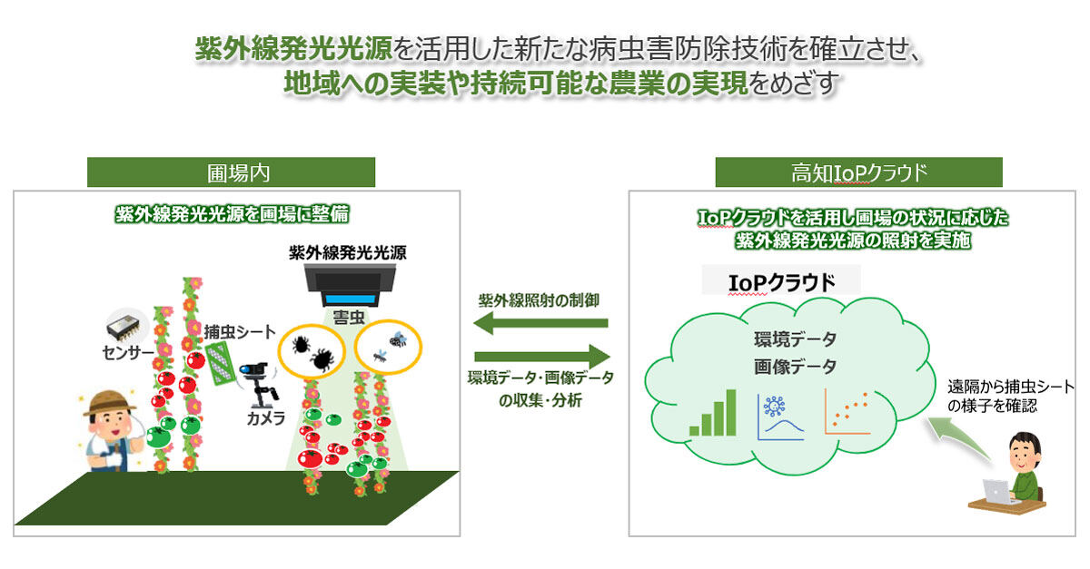 実証の概要図