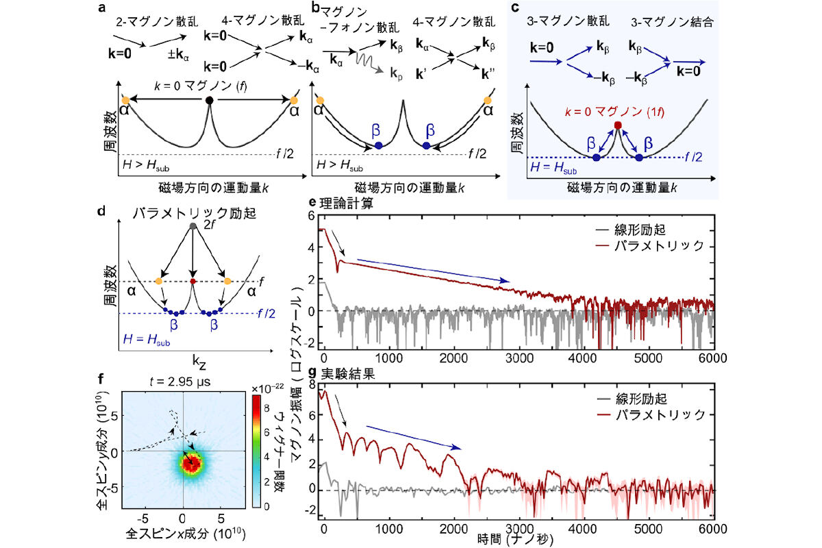 理論モデルの概念図と実験結果