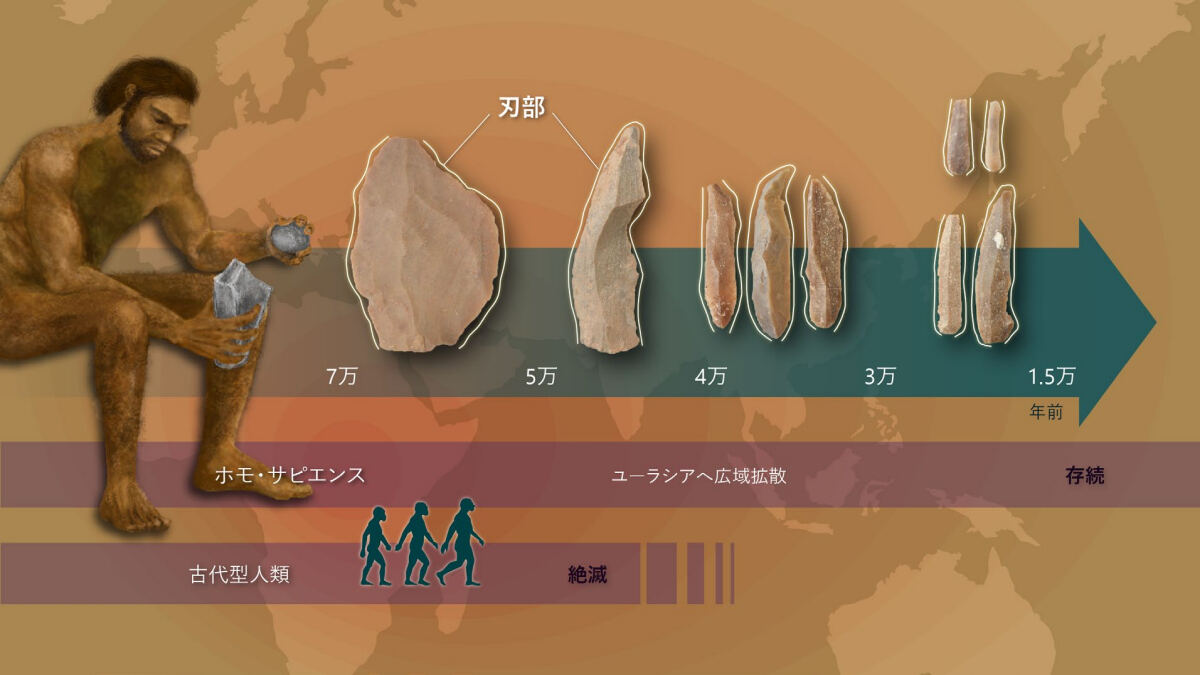 今回の研究の概要